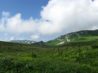 Similar image 525739