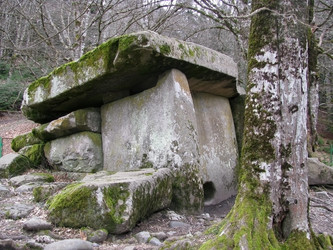 Similar image 525740