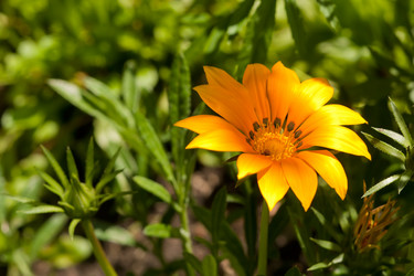 Similar image 525749