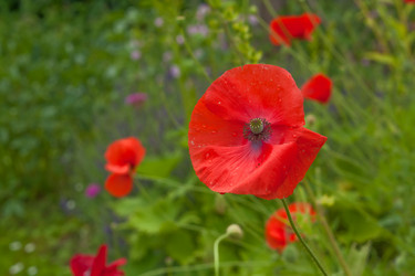 Similar image 525750