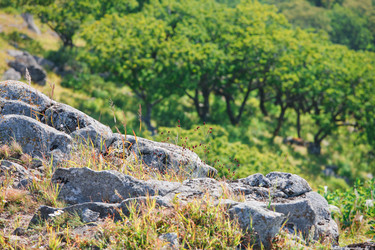 Similar image 525753