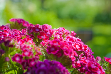 Similar image 525757