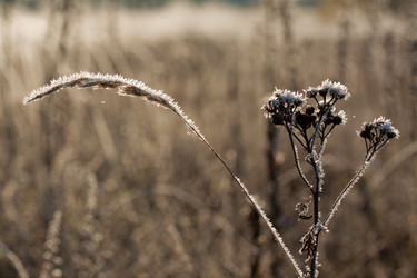 Similar image 525773