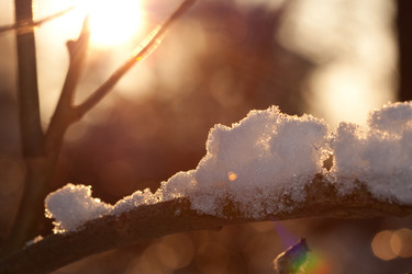 Similar image 525793