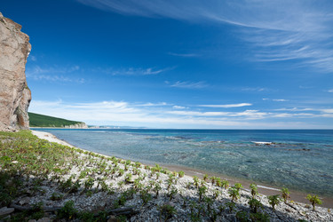 Similar image 525810