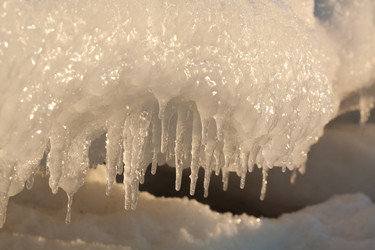 Similar image 525819