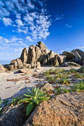 Similar image 525850