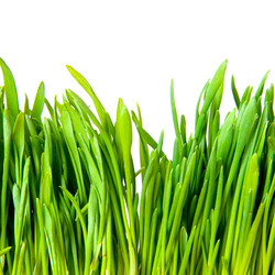 Similar image 525857