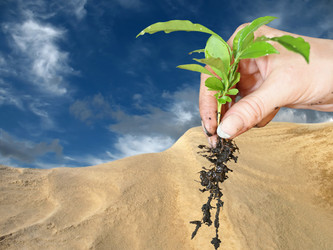 Similar image 525891