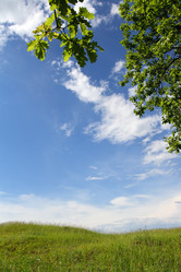 Similar image 525903