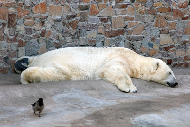 Similar image 525904