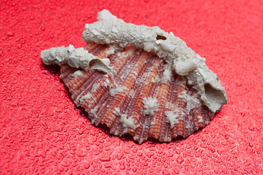 Similar image 525944