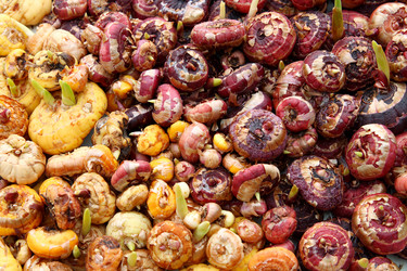 Similar image 526024