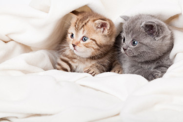 Similar image 526289