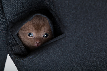 Similar image 526314