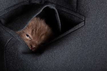 Similar image 526319