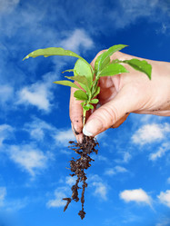 Similar image 526393