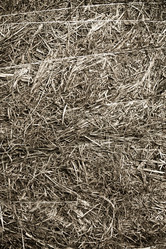 Similar image 526412