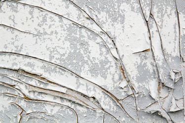 Similar image 526484