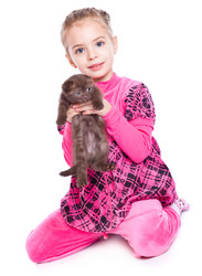 Similar image 526493