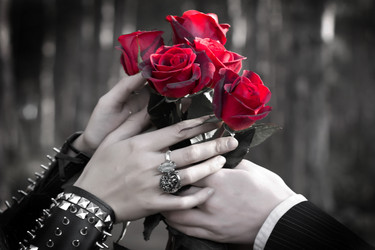 Similar image 526535