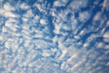 Similar image 526538