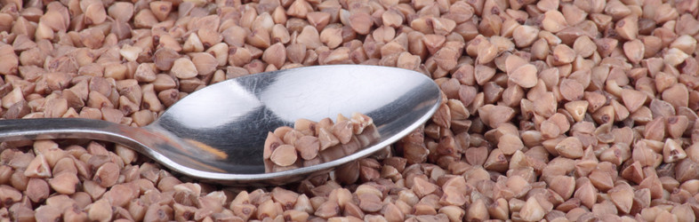 Similar image 526553