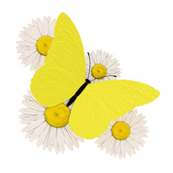 Similar image 526558