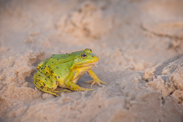 Similar image 526563