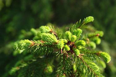 Similar image 526611