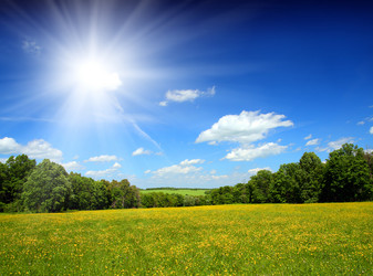 Similar image 526634