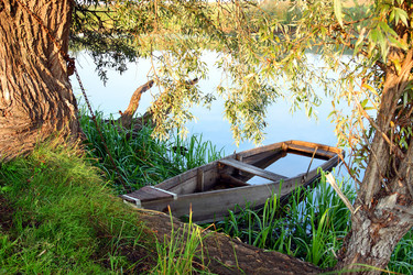 Similar image 526636