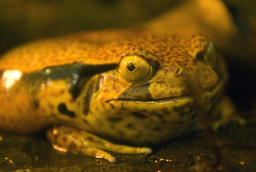 Similar image 526651