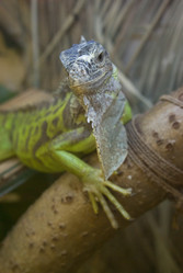 Similar image 526659