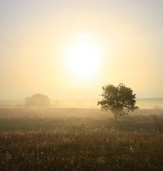 Similar image 526750