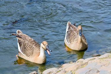 Similar image 526809