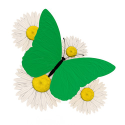 Similar image 526829