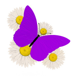 Similar image 526832