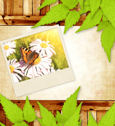 Similar image 526925