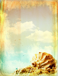 Similar image 526927