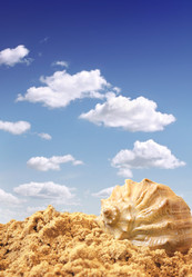 Similar image 526928