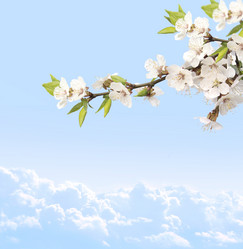 Similar image 526934