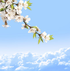 Similar image 526935