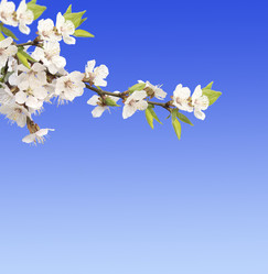 Similar image 526937