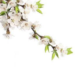 Similar image 526938