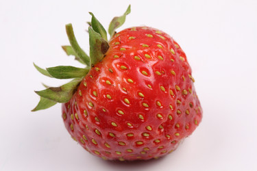 Similar image 526939