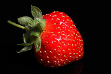 Similar image 526940