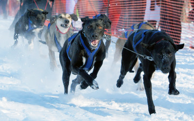 Similar image 526956