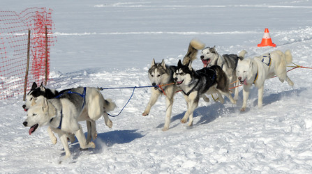 Similar image 526957