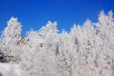 Similar image 526958